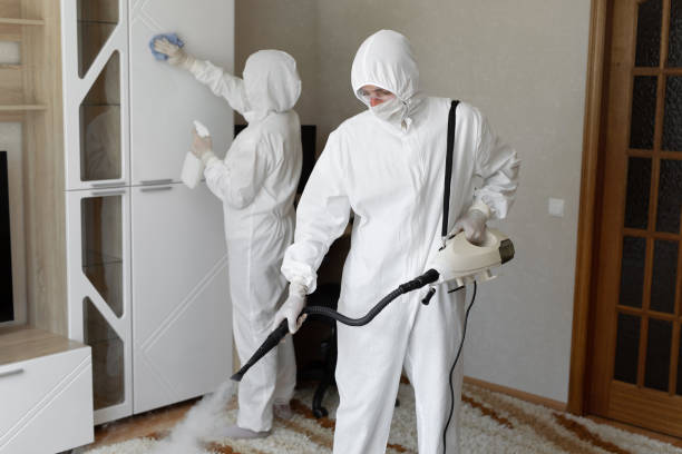Affordable Unattended Death Cleanup solutions in Saint Paris, OH